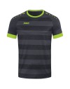 anthracite/lemon