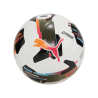PUMA Orbita 2 TB pallone allenamento bianco F01