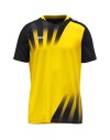 yellow/black