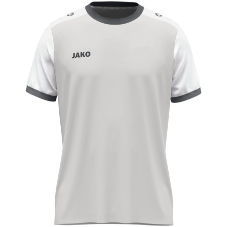 lightgrey/white/grey