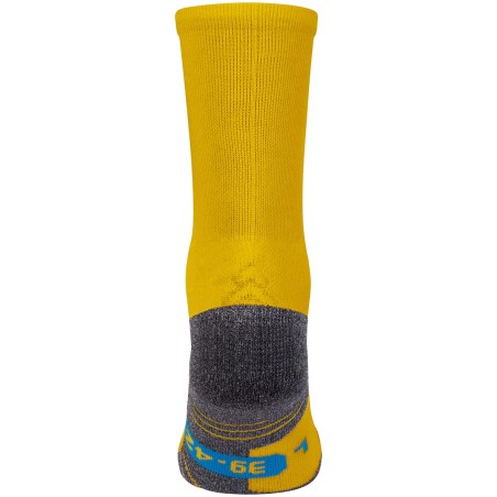 Training socks