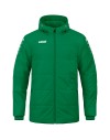 sport green
